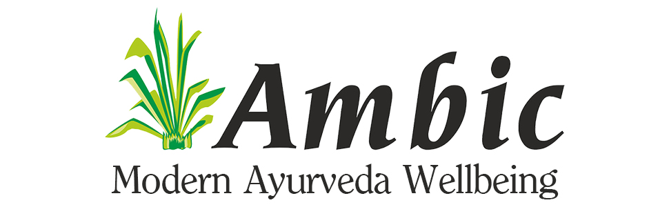 21b12c30-80fc-4bd2-a79c-235a4edf1e12.__CR0,0,970,300_PT0_SX970_V1___