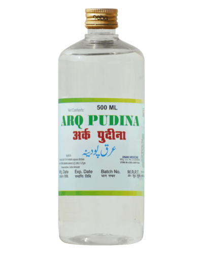 ARQ PODINA 500 ML (Oeba India)