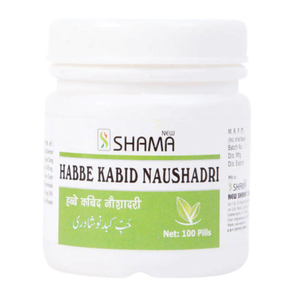 HABBE KABID NAUSHADRI 100 Pills