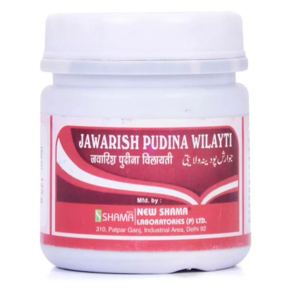 JAWARISH PUDINA WILAYTI 125 GM