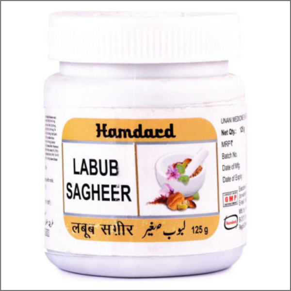 HAMDARD LABOOB SAGEER 125 GM